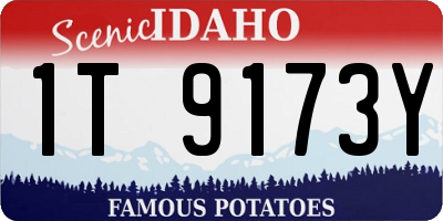 ID license plate 1T9173Y