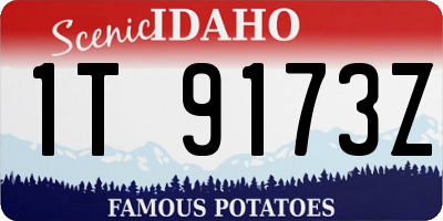 ID license plate 1T9173Z