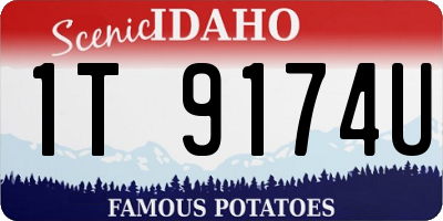 ID license plate 1T9174U