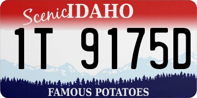 ID license plate 1T9175D