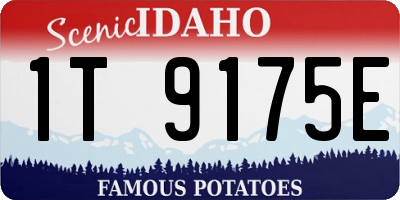 ID license plate 1T9175E