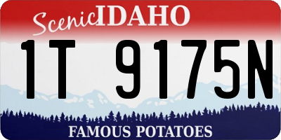 ID license plate 1T9175N