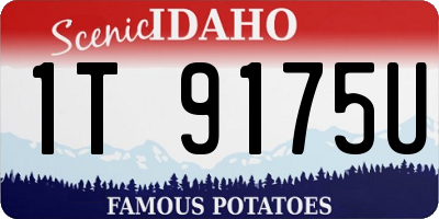 ID license plate 1T9175U