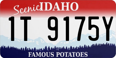 ID license plate 1T9175Y
