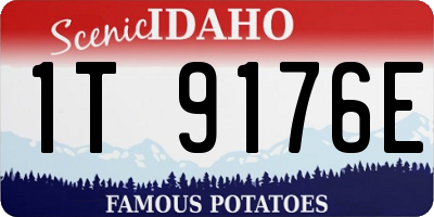 ID license plate 1T9176E