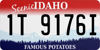 ID license plate 1T9176I