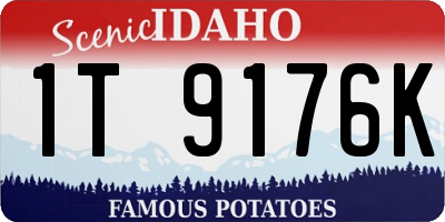 ID license plate 1T9176K