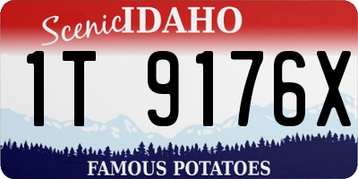 ID license plate 1T9176X