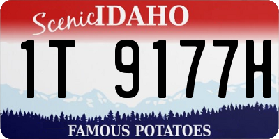 ID license plate 1T9177H