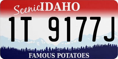 ID license plate 1T9177J