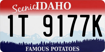 ID license plate 1T9177K