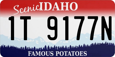 ID license plate 1T9177N