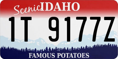 ID license plate 1T9177Z