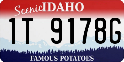 ID license plate 1T9178G