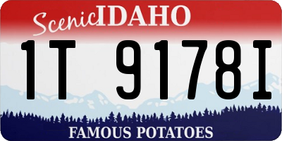 ID license plate 1T9178I
