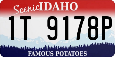 ID license plate 1T9178P