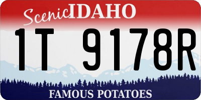 ID license plate 1T9178R