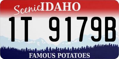 ID license plate 1T9179B