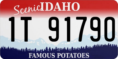 ID license plate 1T9179O