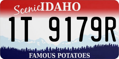 ID license plate 1T9179R