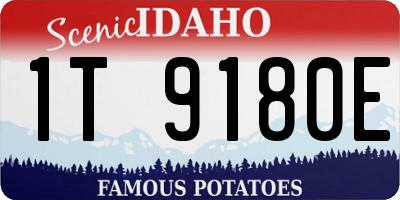 ID license plate 1T9180E