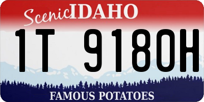 ID license plate 1T9180H