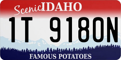 ID license plate 1T9180N