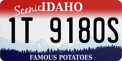 ID license plate 1T9180S