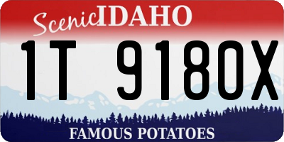ID license plate 1T9180X
