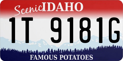 ID license plate 1T9181G