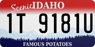 ID license plate 1T9181U