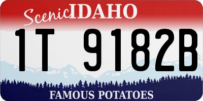 ID license plate 1T9182B