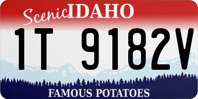 ID license plate 1T9182V