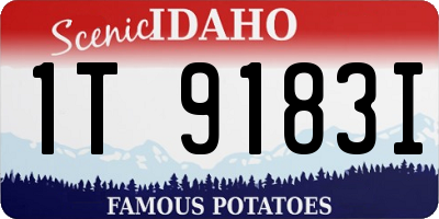 ID license plate 1T9183I