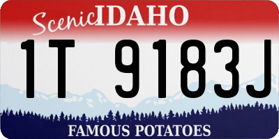 ID license plate 1T9183J