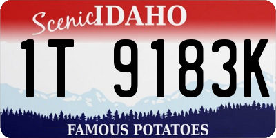 ID license plate 1T9183K