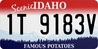ID license plate 1T9183V
