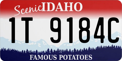 ID license plate 1T9184C