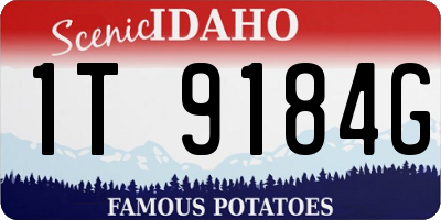 ID license plate 1T9184G