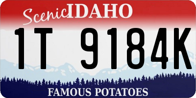 ID license plate 1T9184K