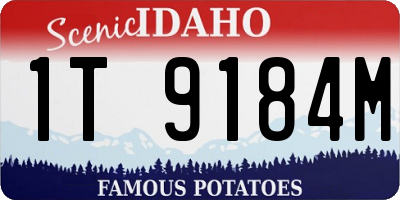 ID license plate 1T9184M
