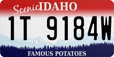 ID license plate 1T9184W
