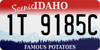 ID license plate 1T9185C