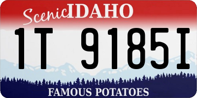 ID license plate 1T9185I