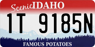 ID license plate 1T9185N