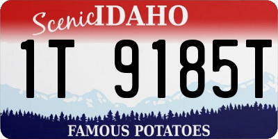 ID license plate 1T9185T