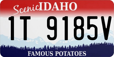 ID license plate 1T9185V