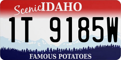 ID license plate 1T9185W