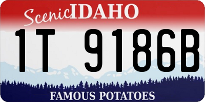 ID license plate 1T9186B