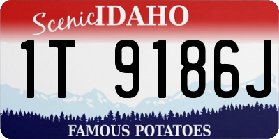 ID license plate 1T9186J